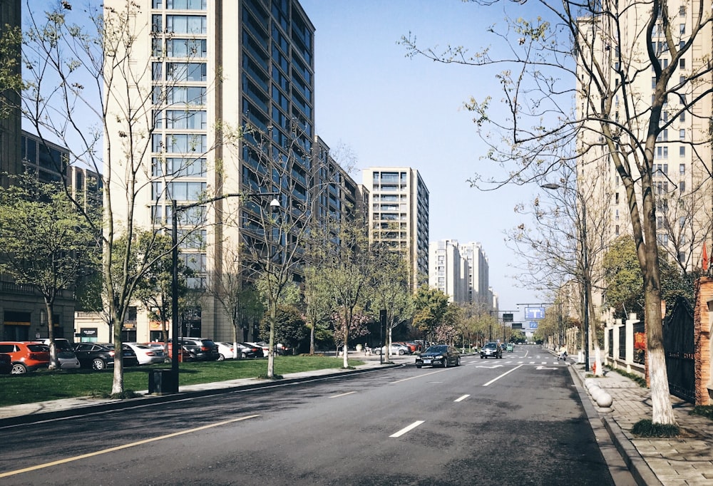 road between high rise buildings