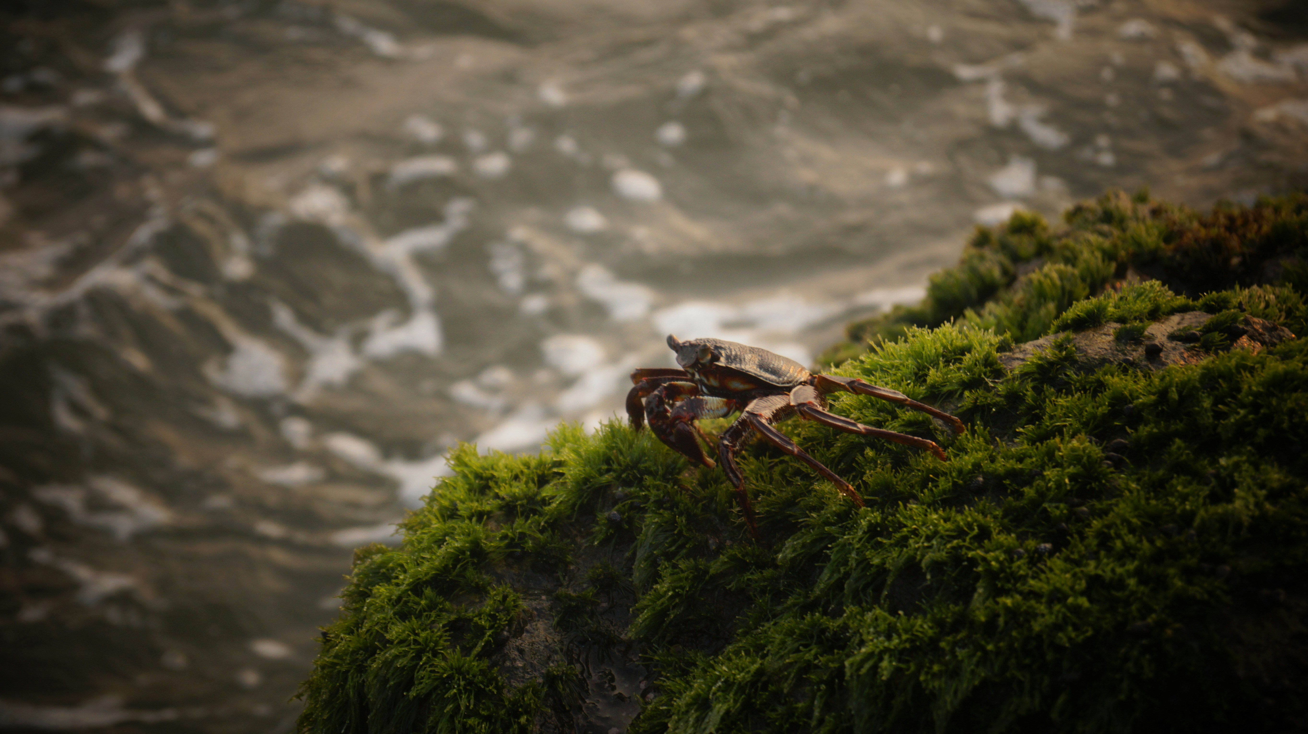 Photo by shanaravind