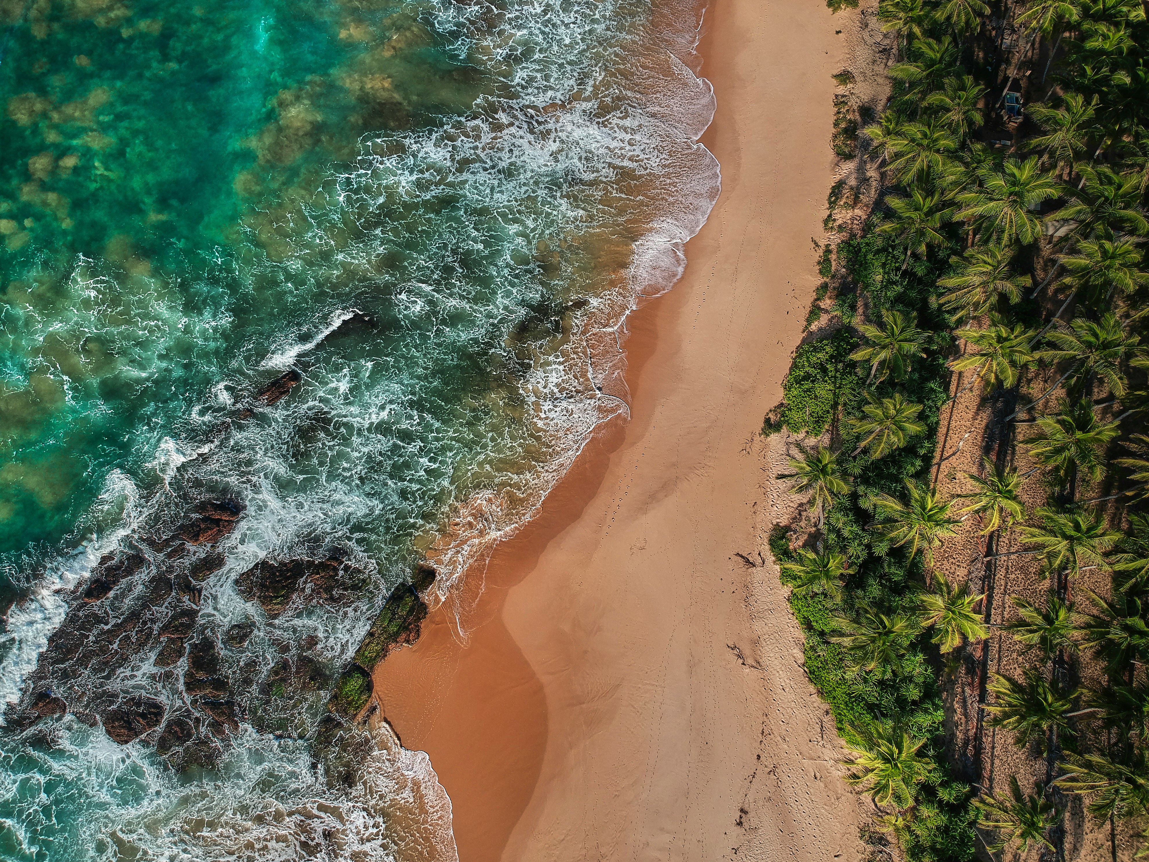 top-view photography of beach during daytime