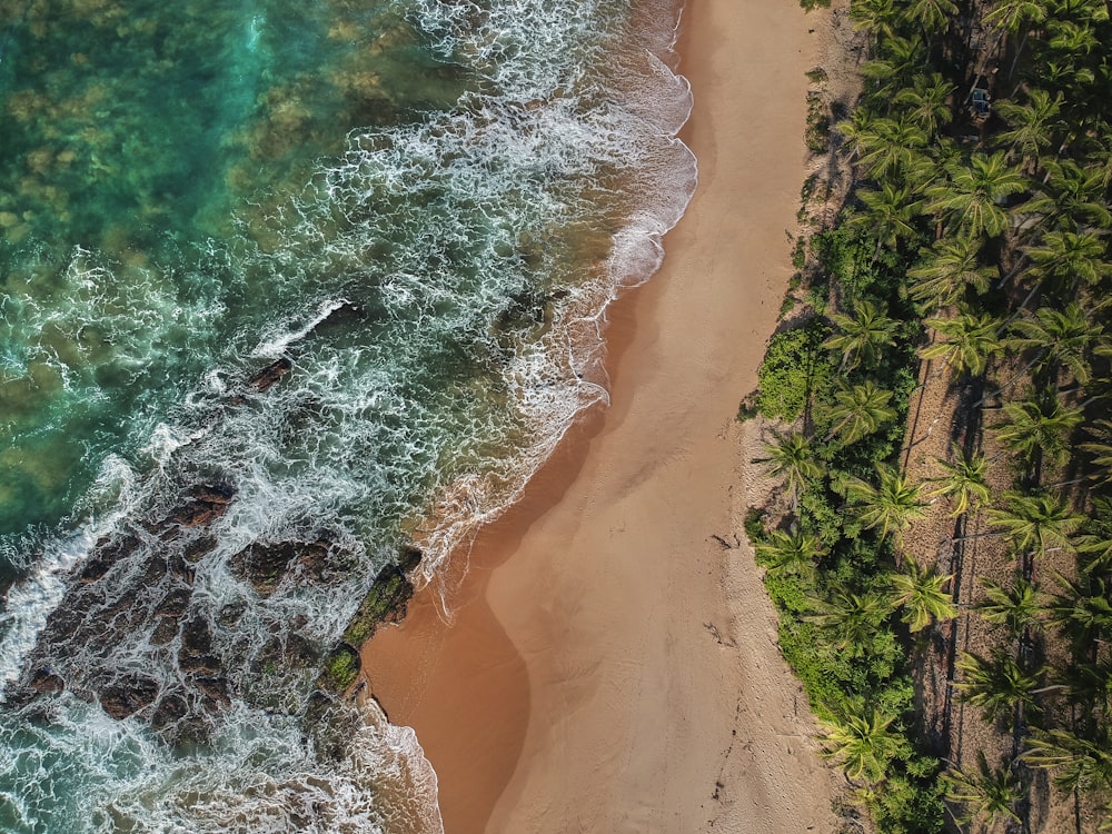 top-view photography of beach during daytime