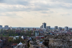 A cityscape featuring a mix of modern high-rise buildings and older architecture spread across a densely populated area. In the foreground, there are ancient stone ruins, where a person is sitting on the rocks, enjoying the view. Trees and green spaces are interspersed between the buildings, and a flock of birds is flying in the cloudy sky.