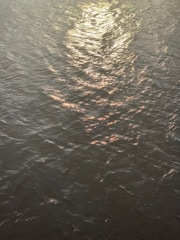 Close-up of rippling water reflecting a golden sunrise.