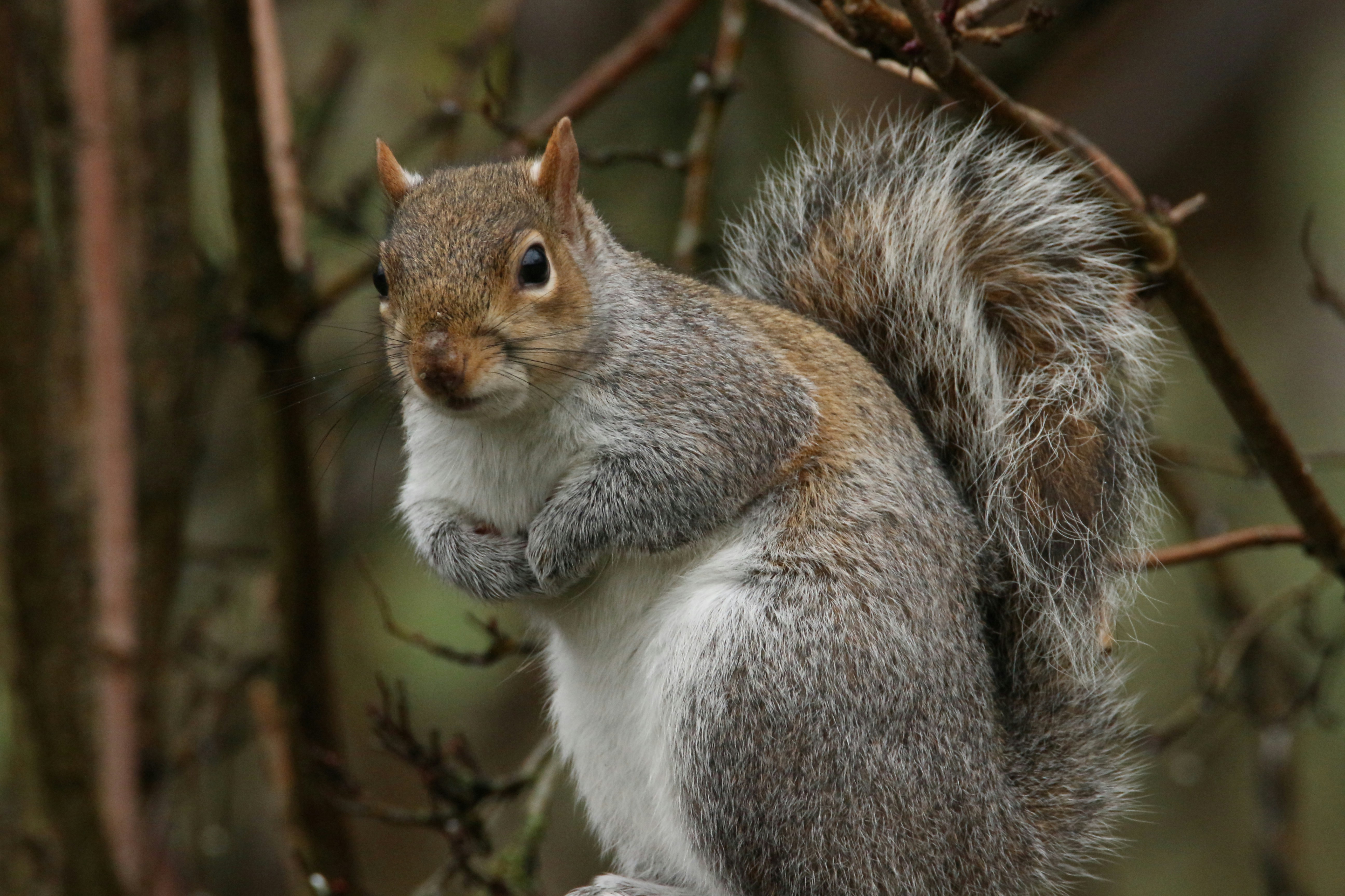 Photo by kingfishersnaps