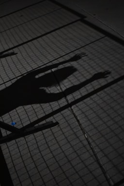 A shadow cast on a concrete surface, featuring a human silhouette with outstretched arms behind a grid-like pattern. The scene is dark and the shadow is sharply defined, suggesting the presence of a fence or net above.