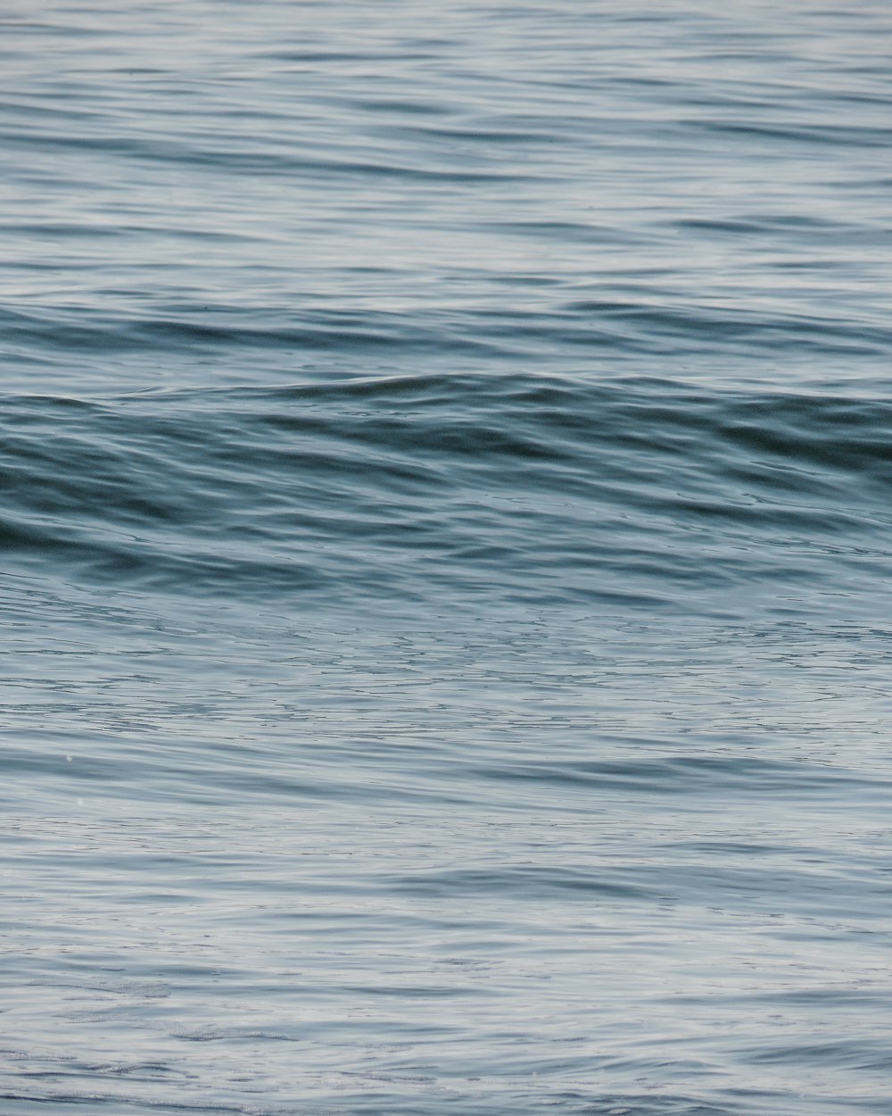 body of water during daytime