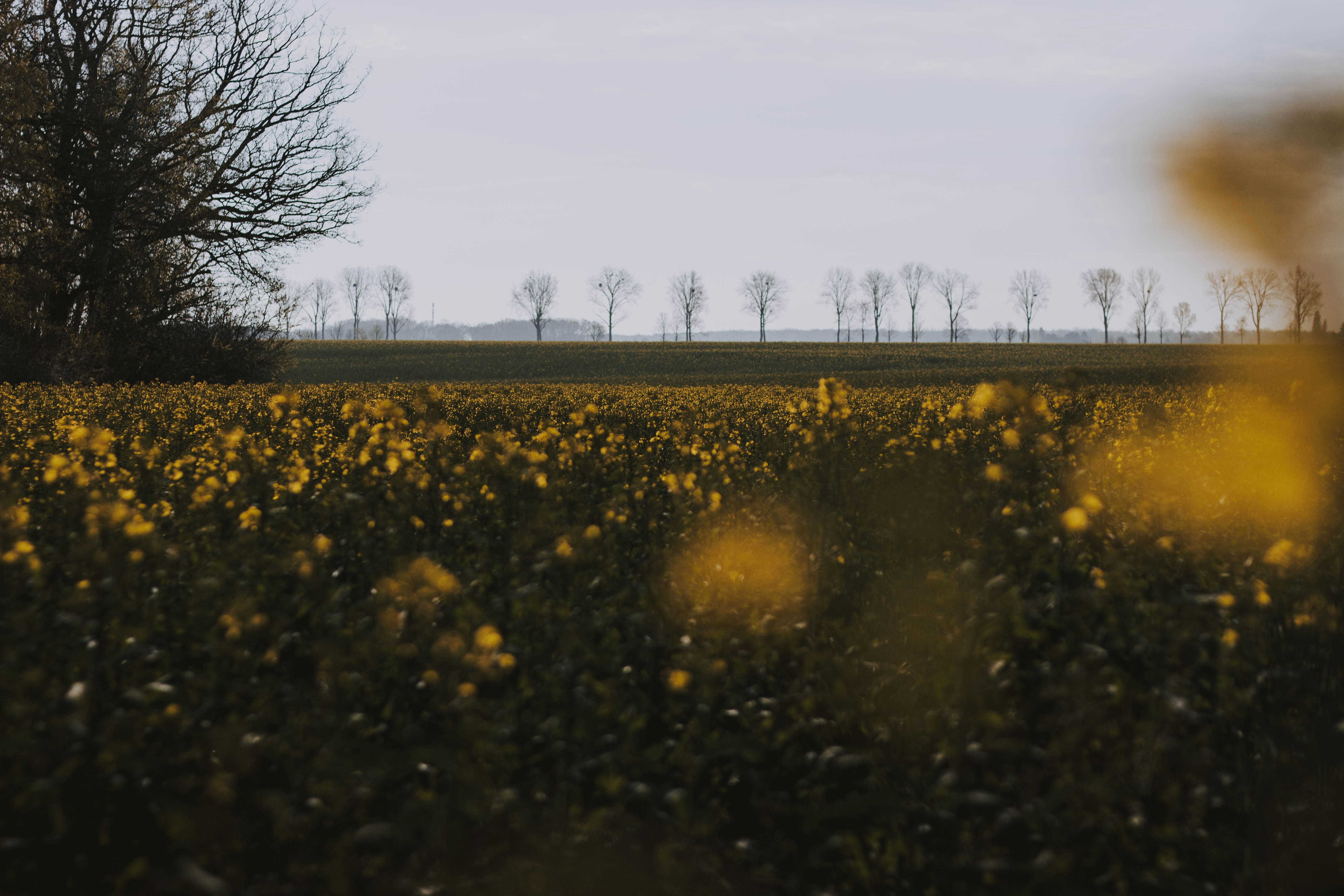 Photo by matreding