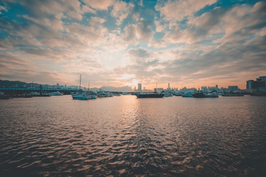 The image depicts a serene waterfront scene at sunset with multiple boats docked in a harbor. The sky is filled with clouds that reflect the warm tones of the sunset, while city skyscrapers are visible in the background, creating a beautiful silhouette.