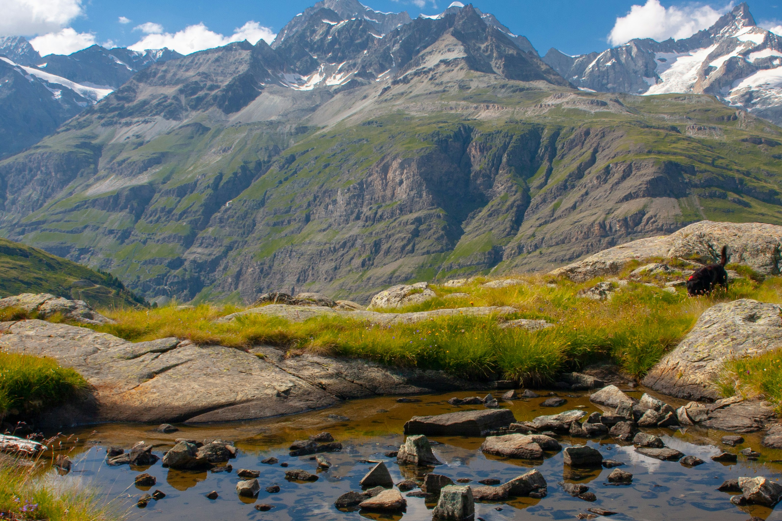 clear shallow water stream at the mountain