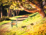 Community members sharing a quiet moment in a sunlit garden space.