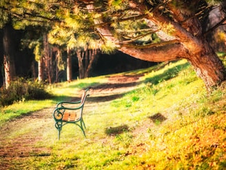 A comforting scene of a person sitting peacefully in a sunlit park, symbolizing hope and healing.