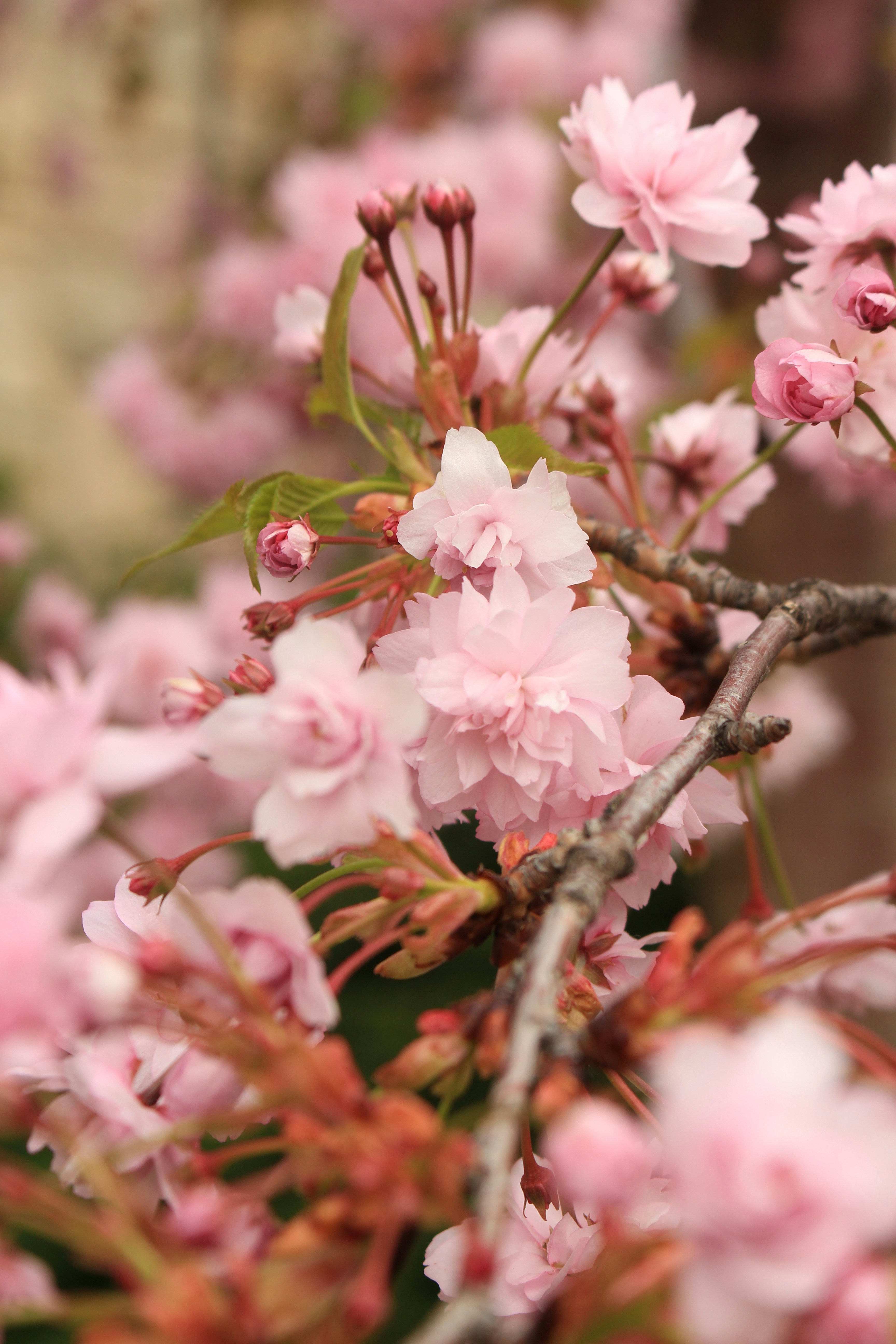 Photo by marjorylucabaxter