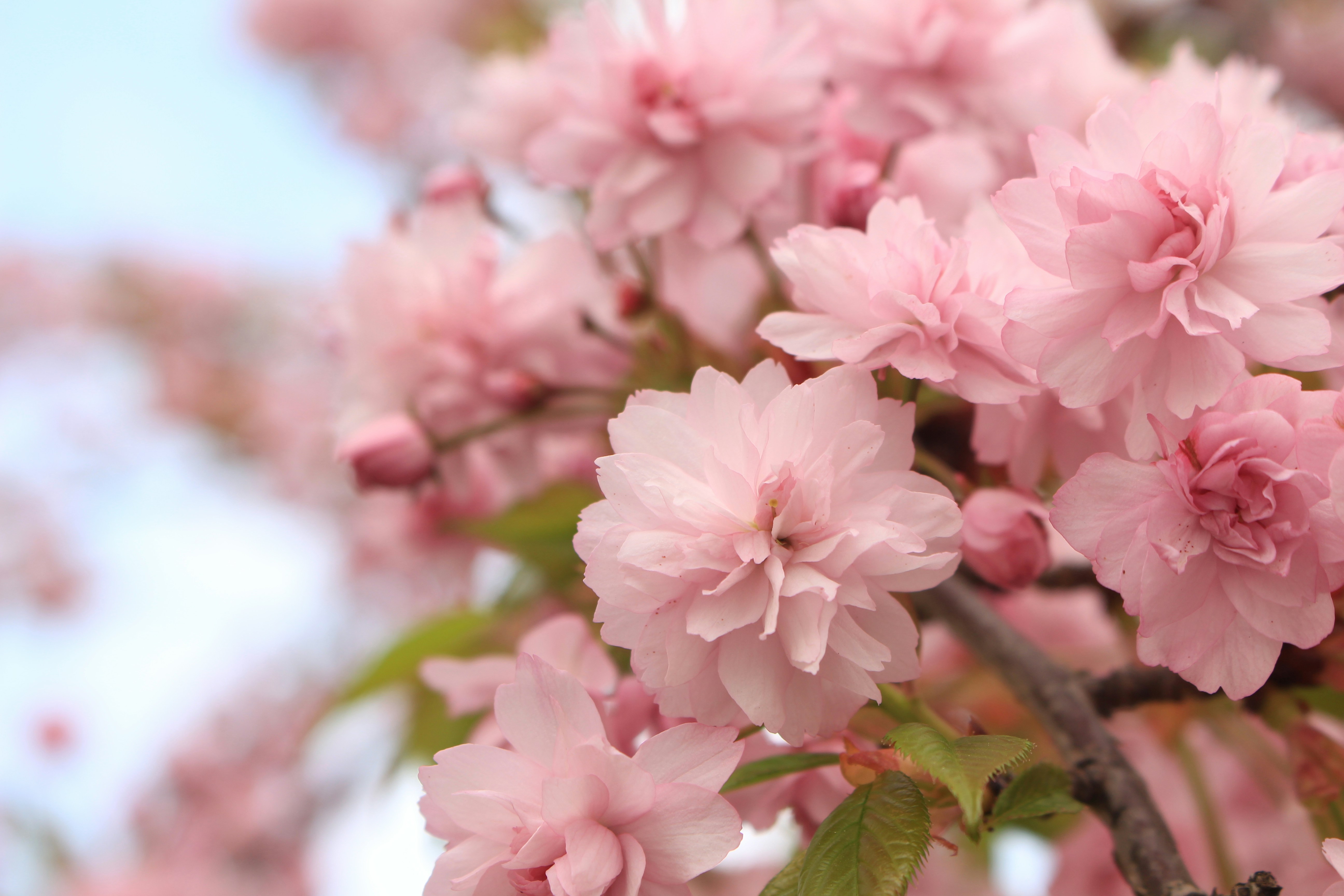 Photo by marjorylucabaxter