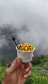 A hand holds a small white cup filled with seasoned corn kernels, with a blue disposable spoon sticking out from the cup. In the background, there is a misty, fog-covered natural landscape with green foliage visible.