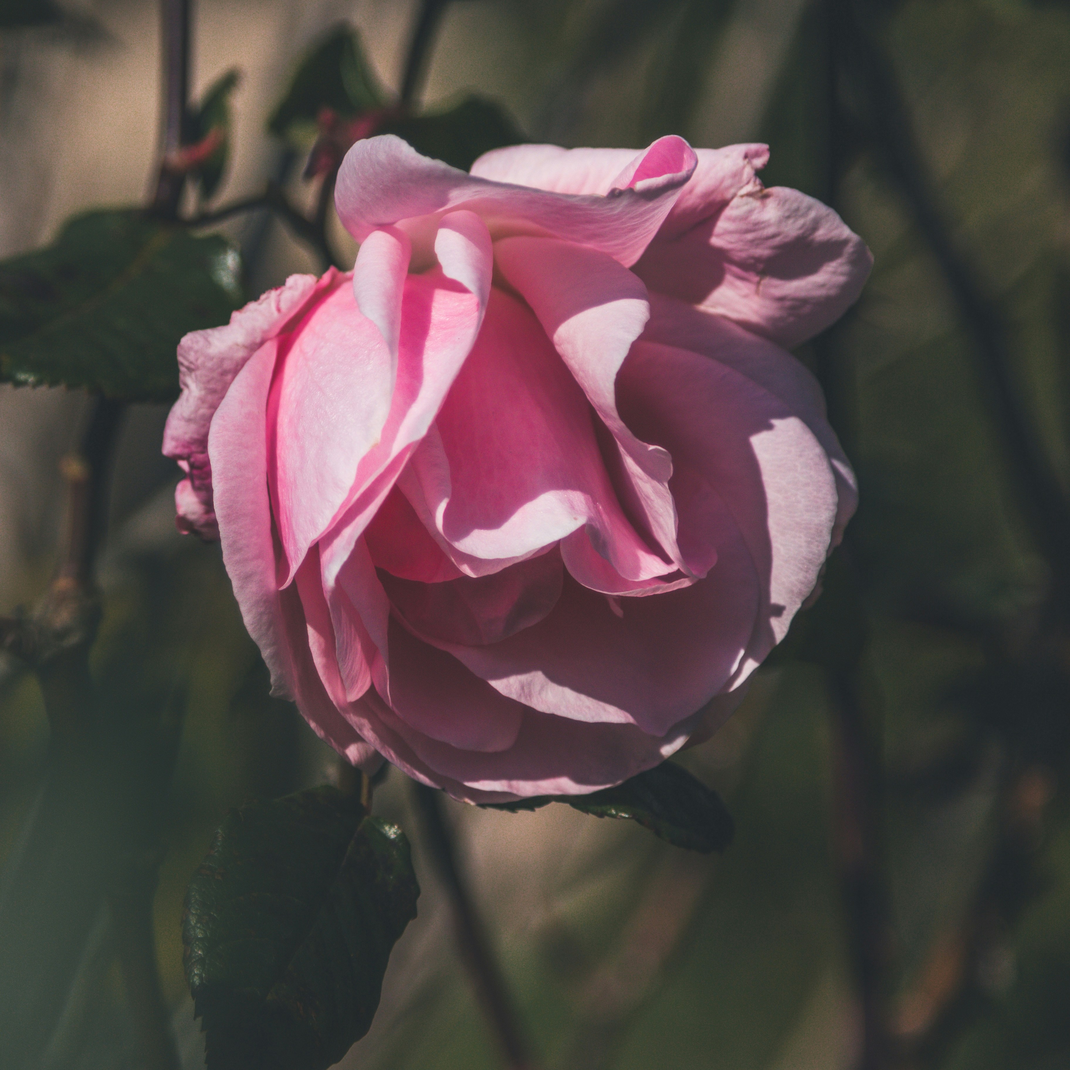 Photo by lboccardo95