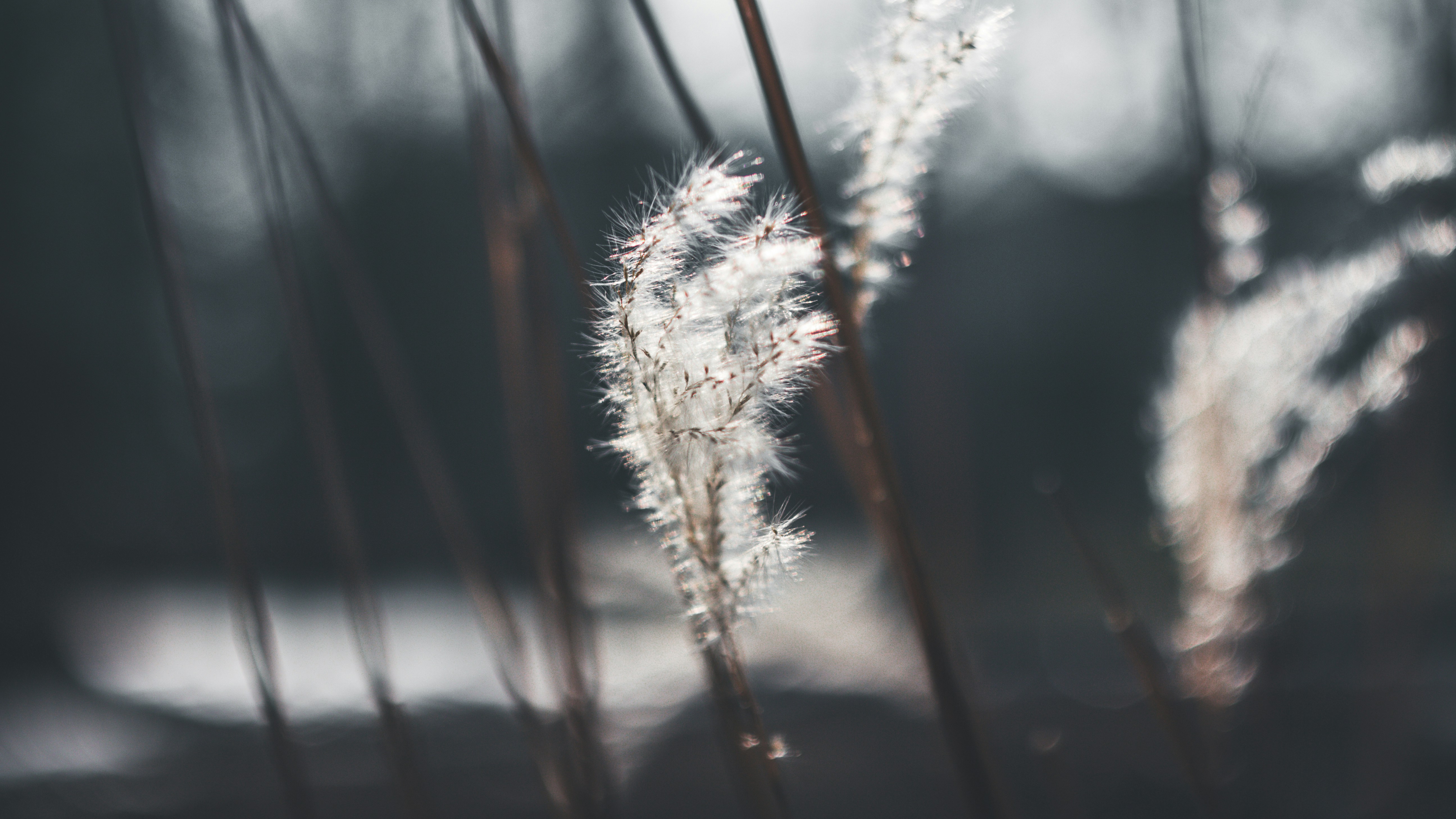 Photo by lboccardo95