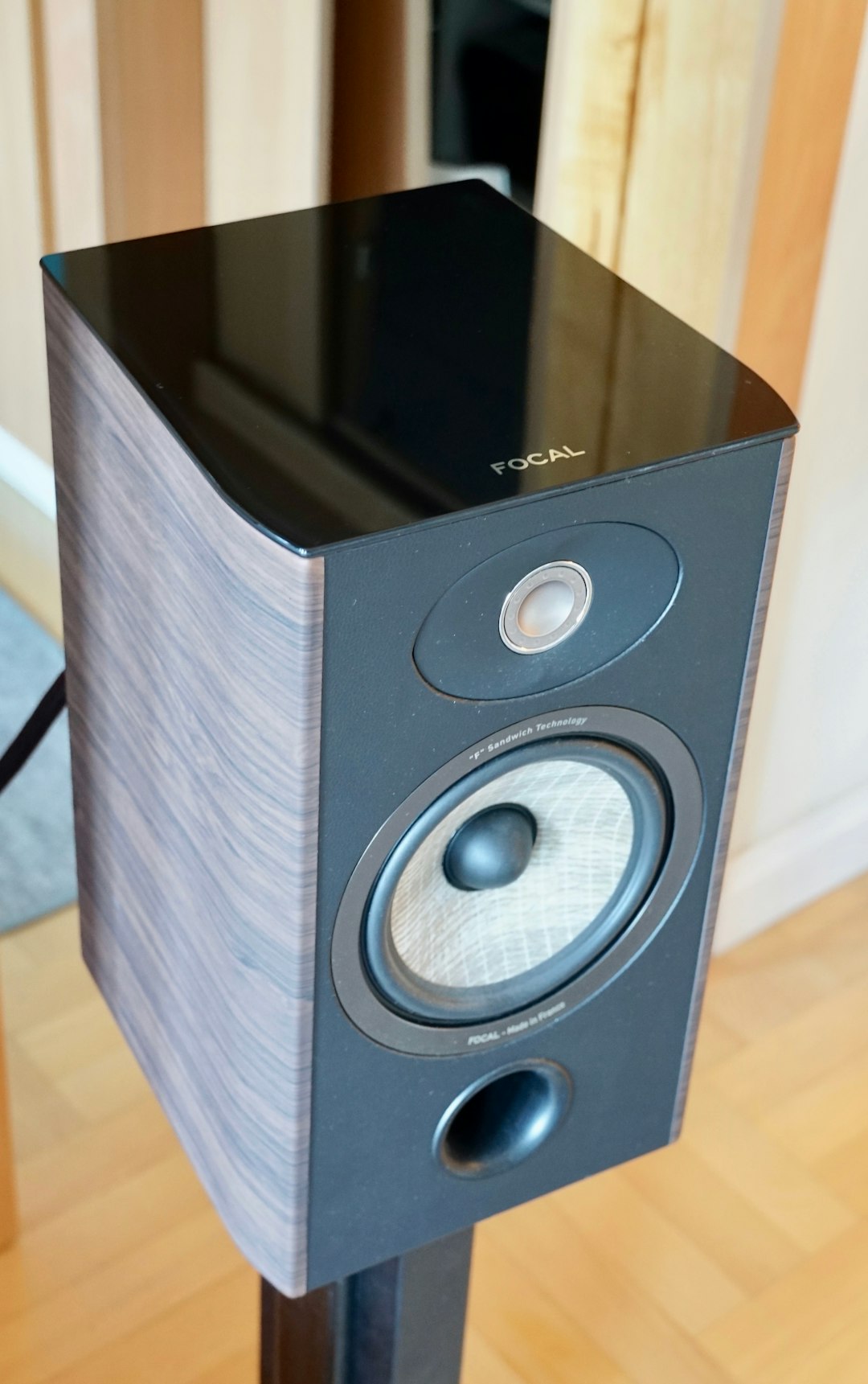 blue Focal speaker