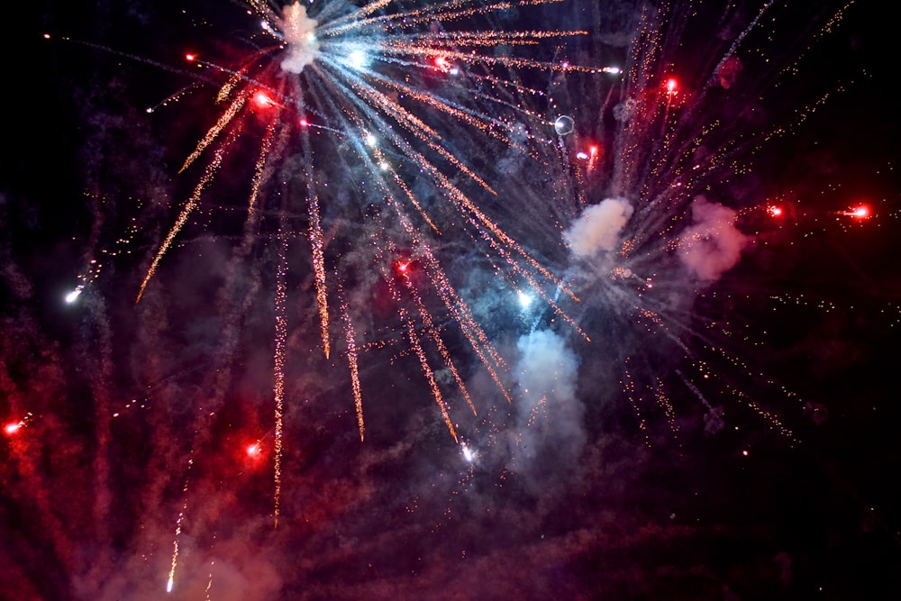 assorted-color fireworks at night