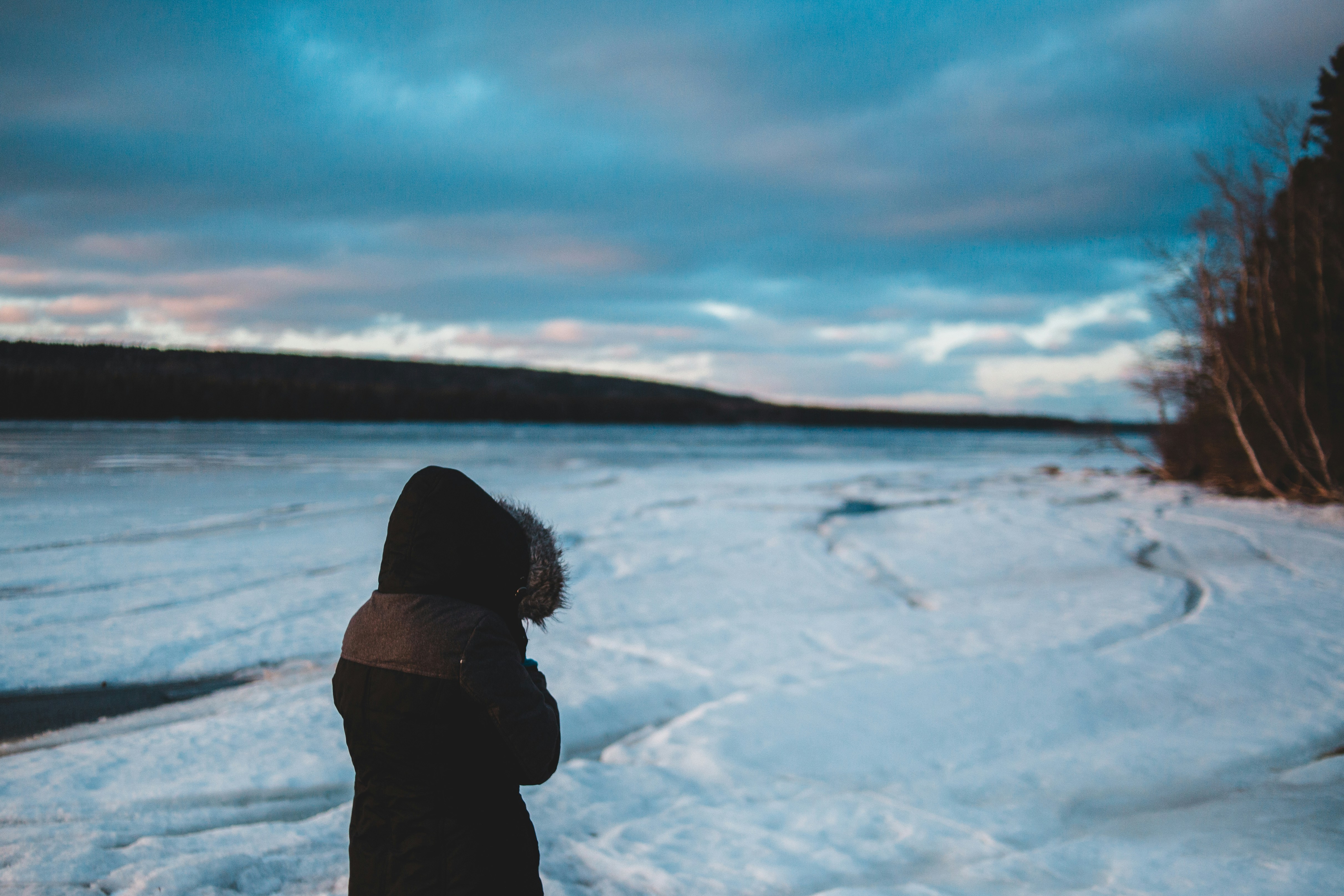 Photo by introspectivedsgn