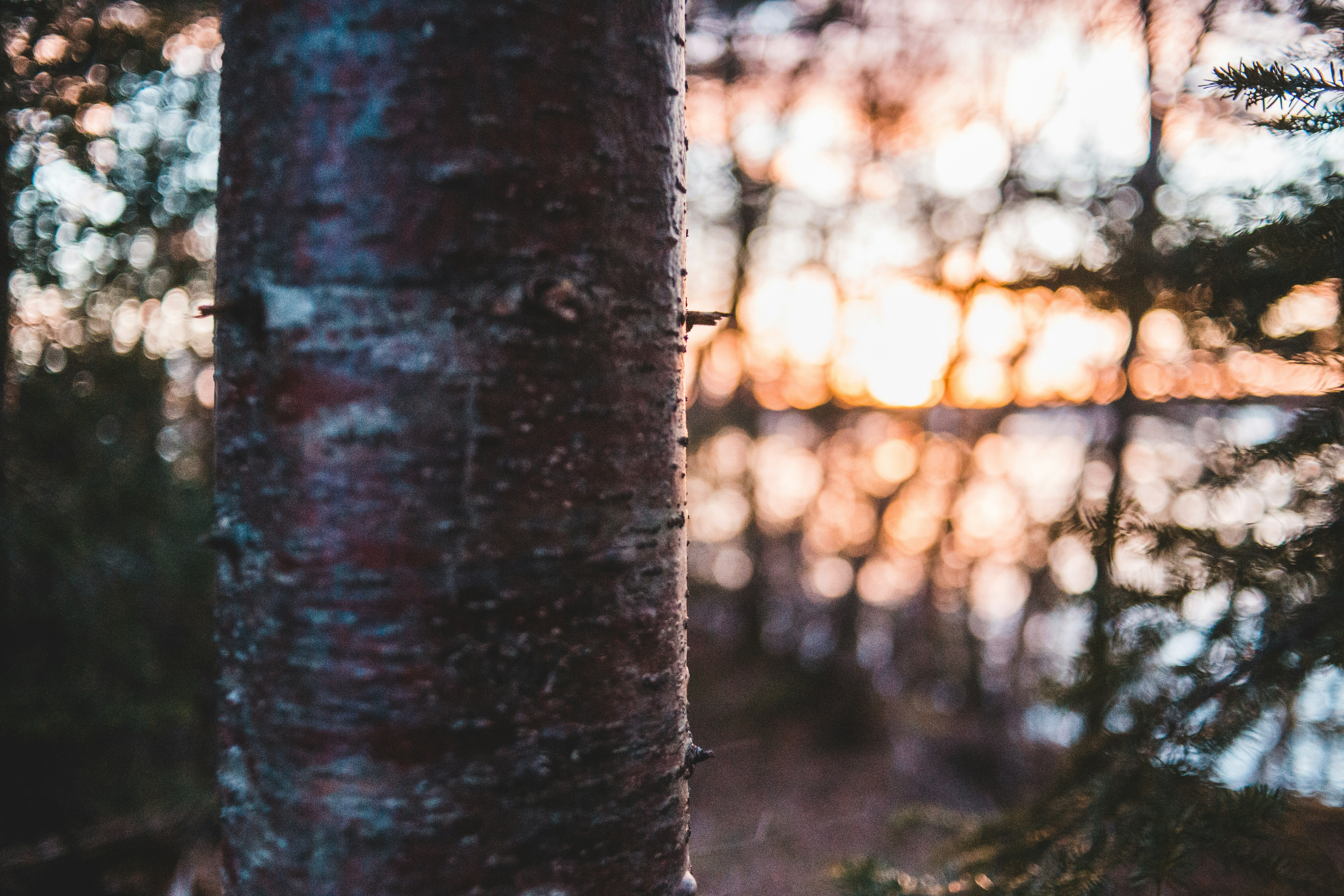 Photo by introspectivedsgn