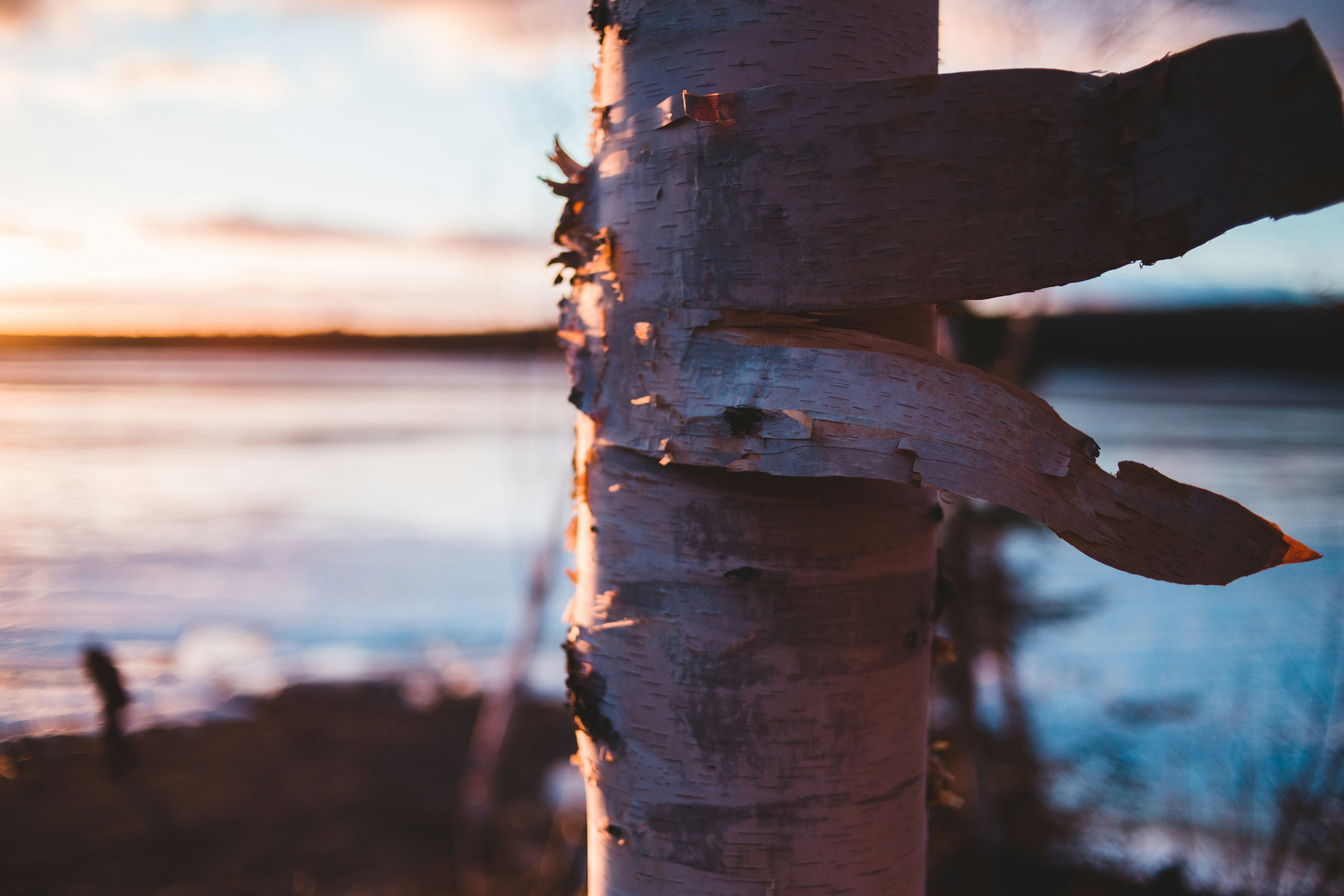 Photo by introspectivedsgn