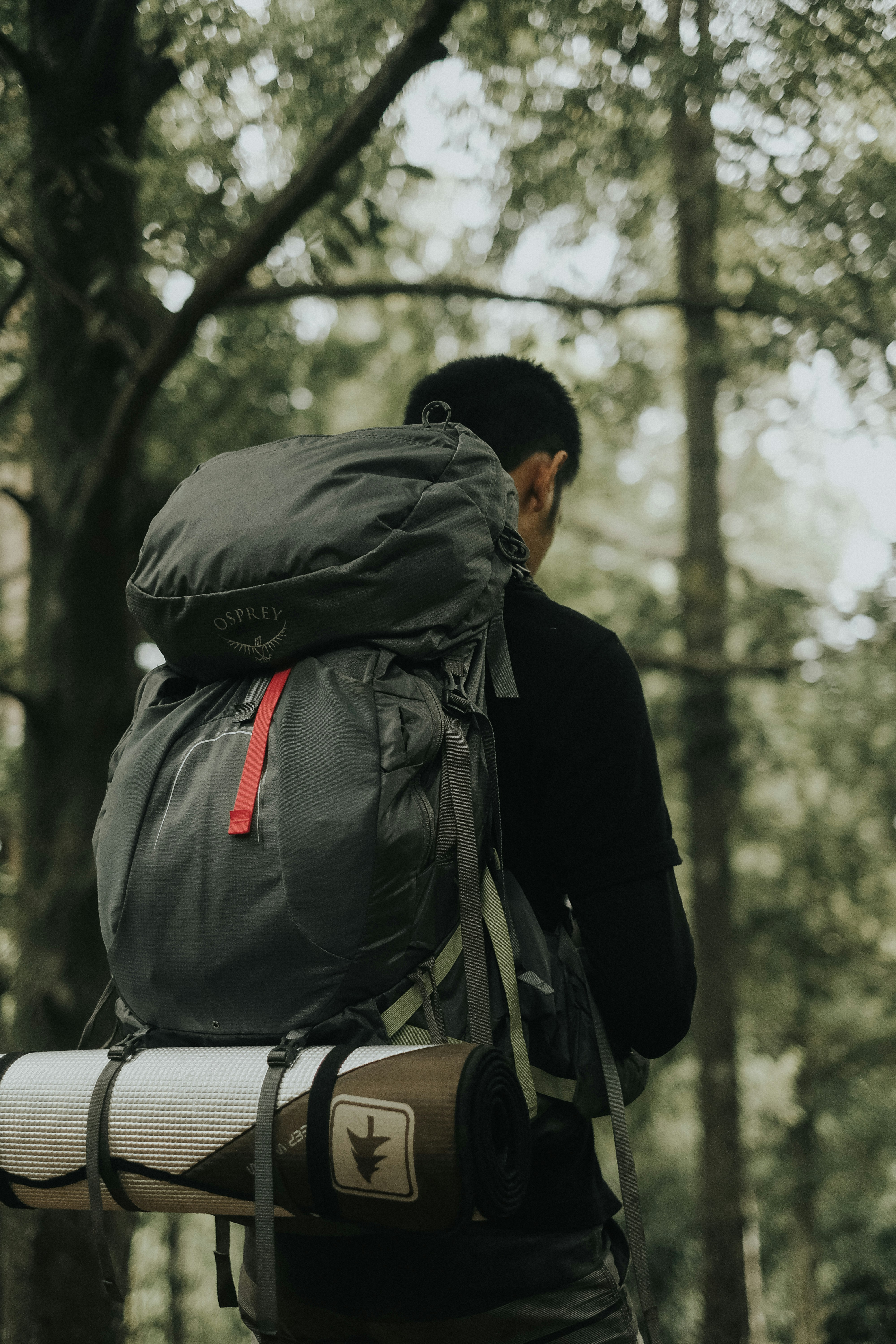 女狙击手抗战片电视剧，女狙击手抗战片电视剧有哪些