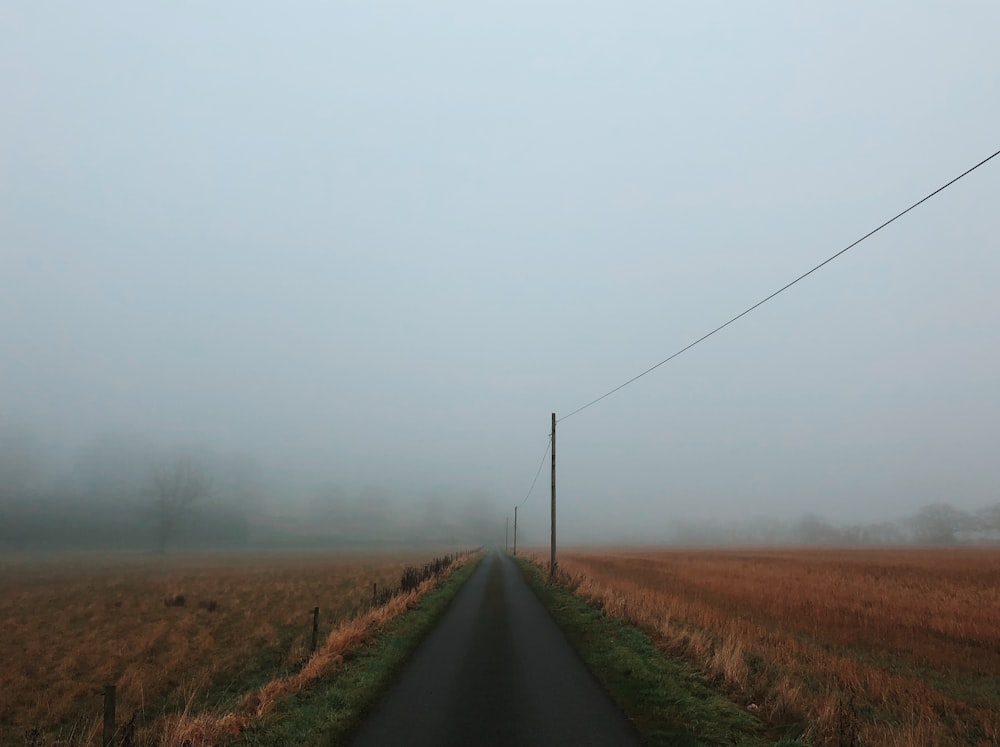 road near wheat field