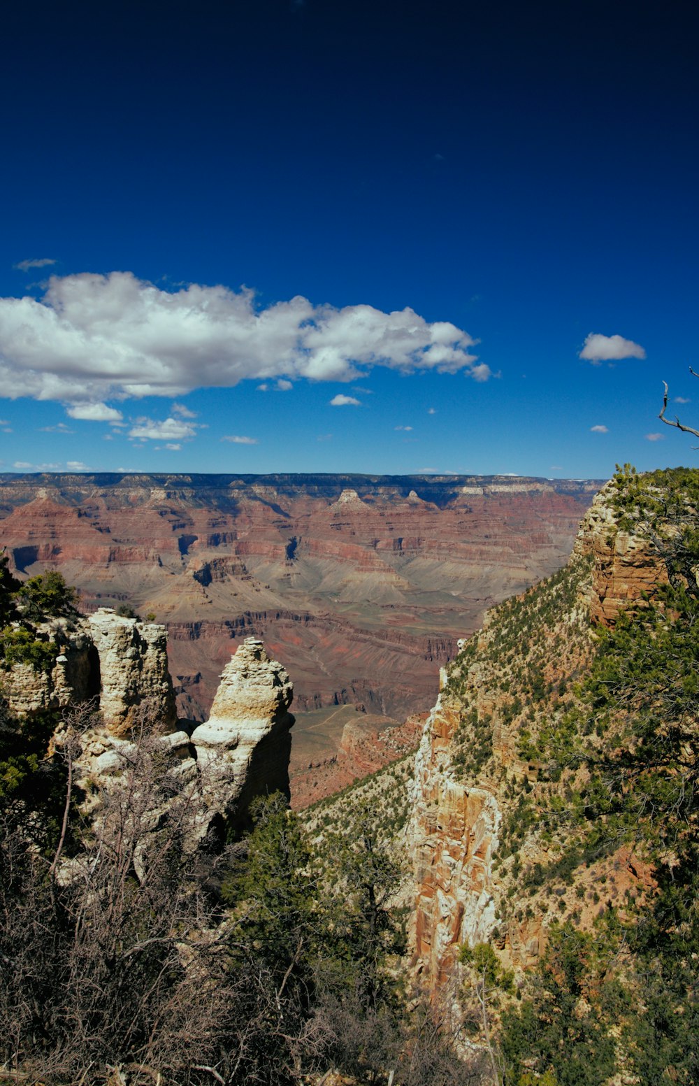 grand canyon during daytime