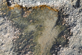 A textured surface with a rough, rocky appearance shows scattered granules and a mix of shades. There is a noticeable section with a darker, moist look, possibly due to wetness or a different material composition.