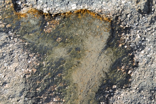 A textured surface with a rough, rocky appearance shows scattered granules and a mix of shades. There is a noticeable section with a darker, moist look, possibly due to wetness or a different material composition.