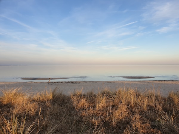 The baltic sea late in the evening
by Serhat Köylüce