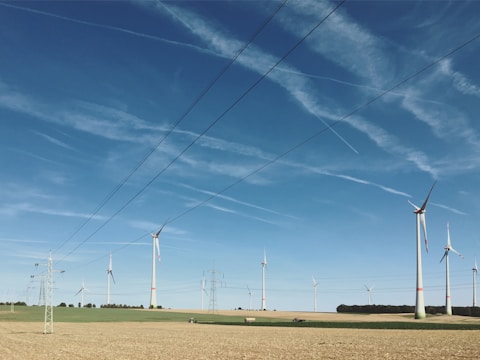 A large wind farm with multiple turbines in a field.
