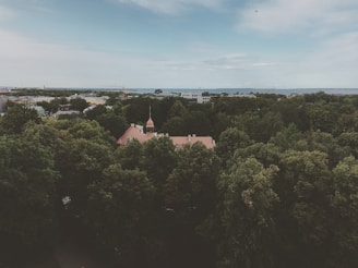 Aerial perspective revealing the building's integration with the surrounding landscape.