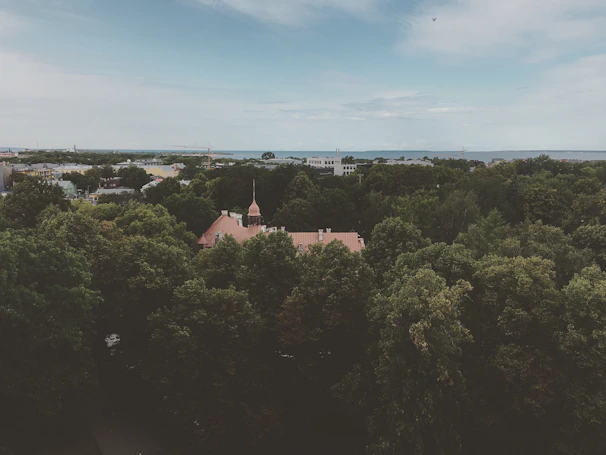 Aerial perspective of a strategic real estate development surrounded by greenery.