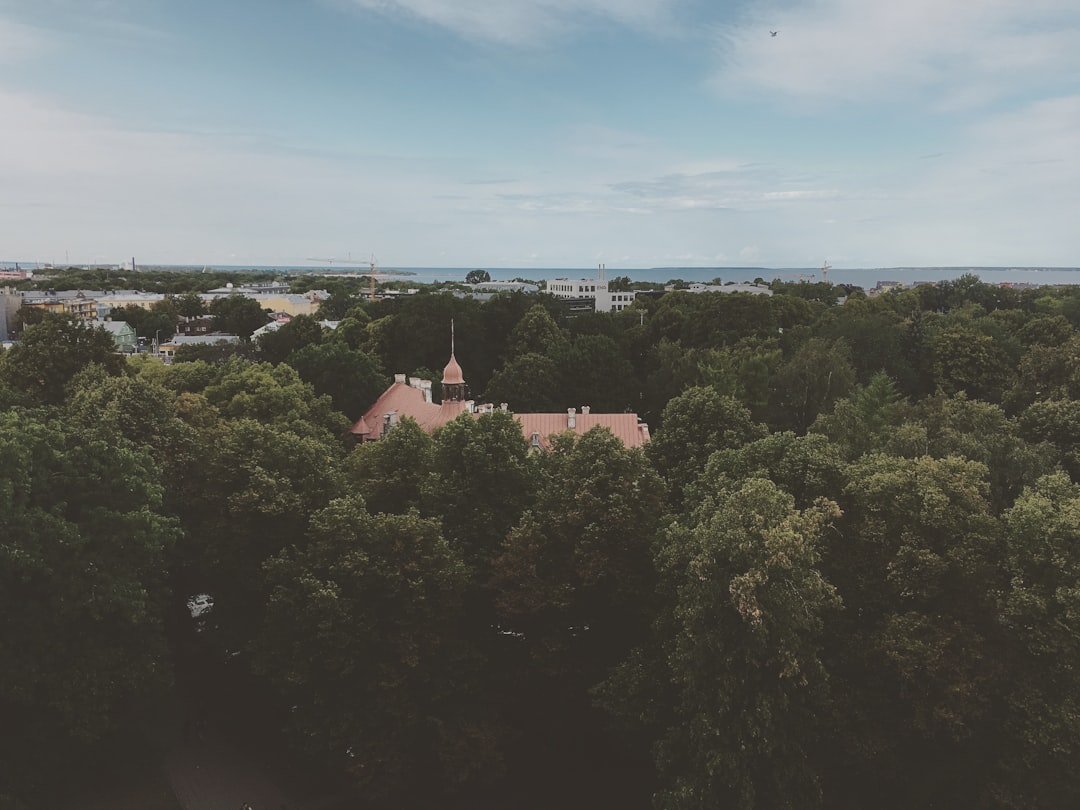 Acampar en Estonia