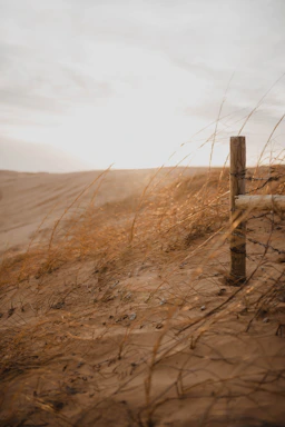 A sleek gold detector resting on desert sand under a golden sunset sky.