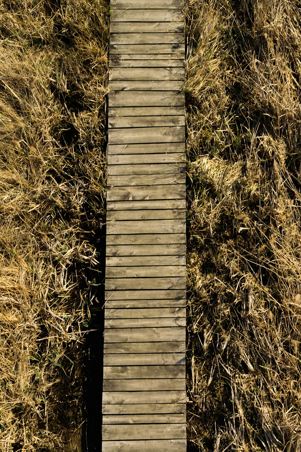 brown wooden pathway on top view photographty