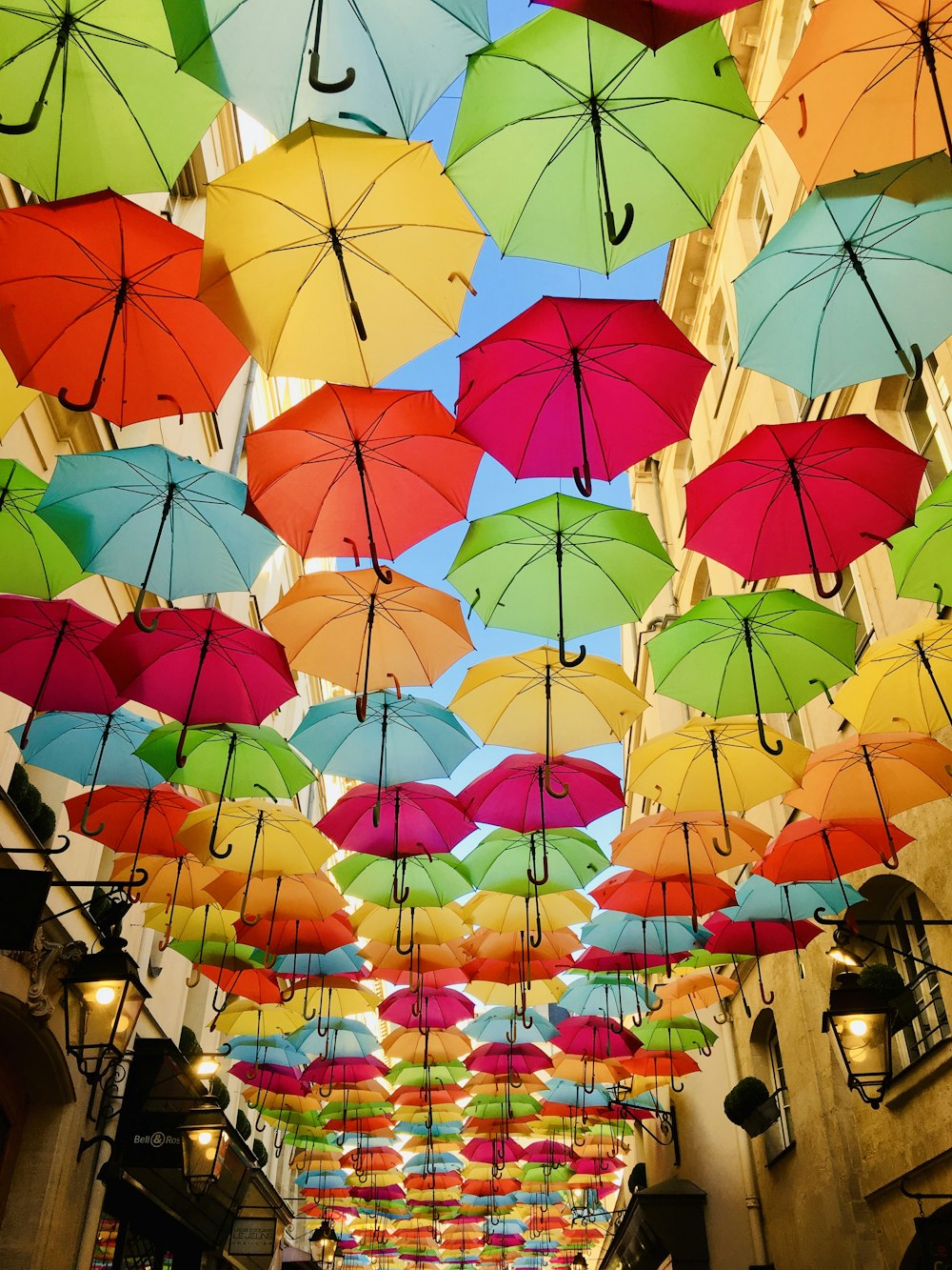 beaucoup de parapluies