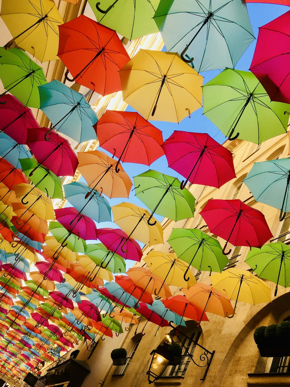 assorted-color umbrella lot