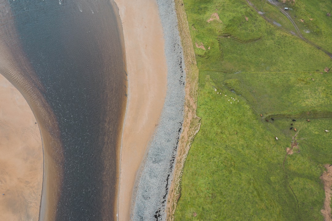 aerial view of beach beside forest