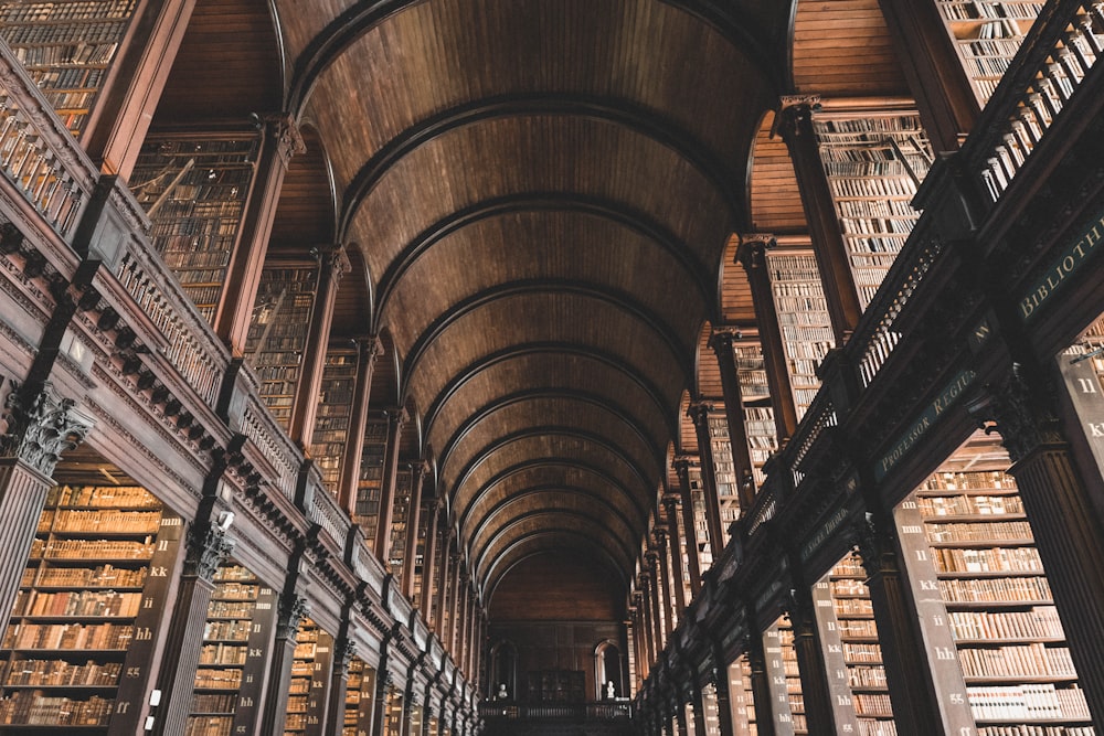 low angle photography of library