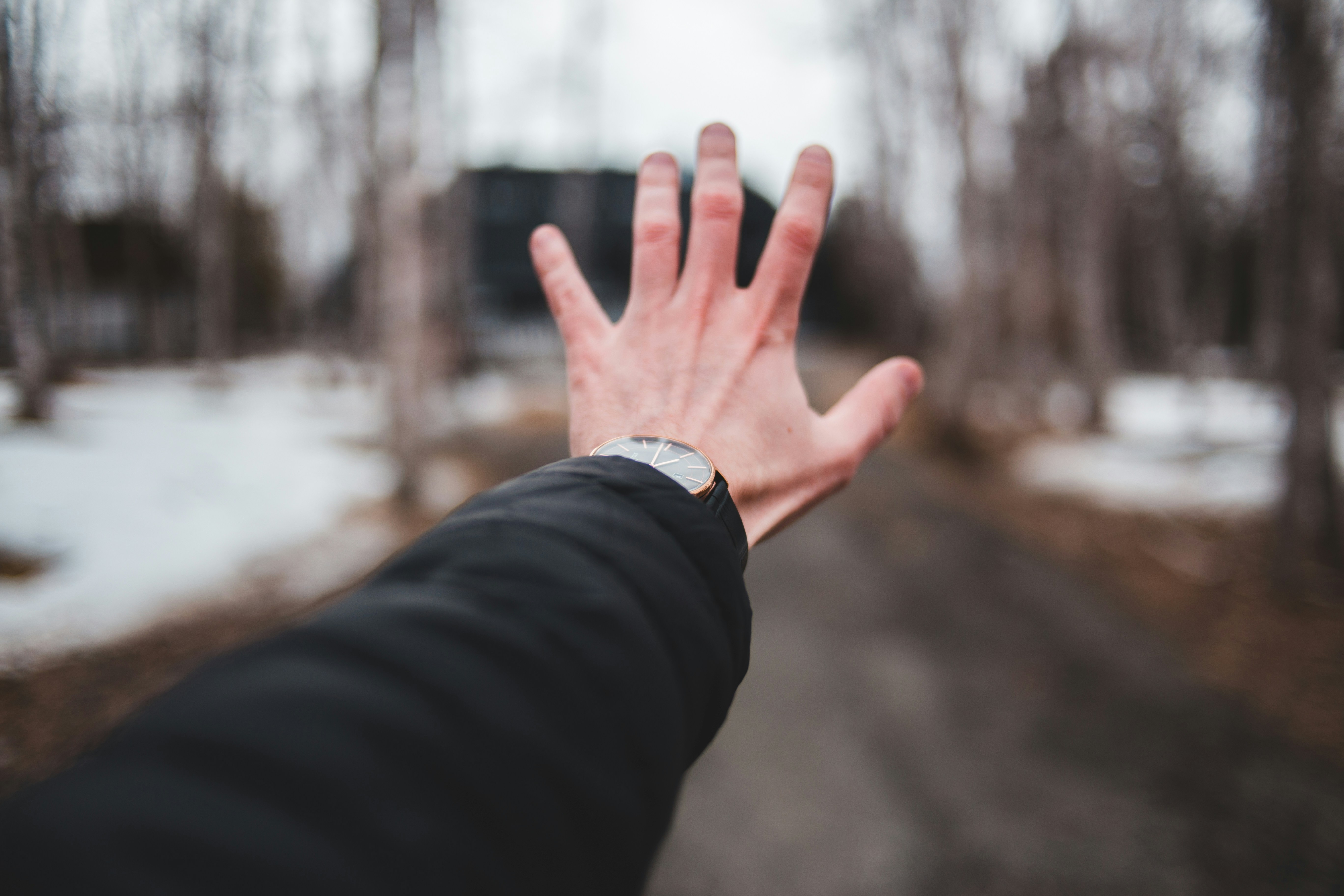 Photo by introspectivedsgn