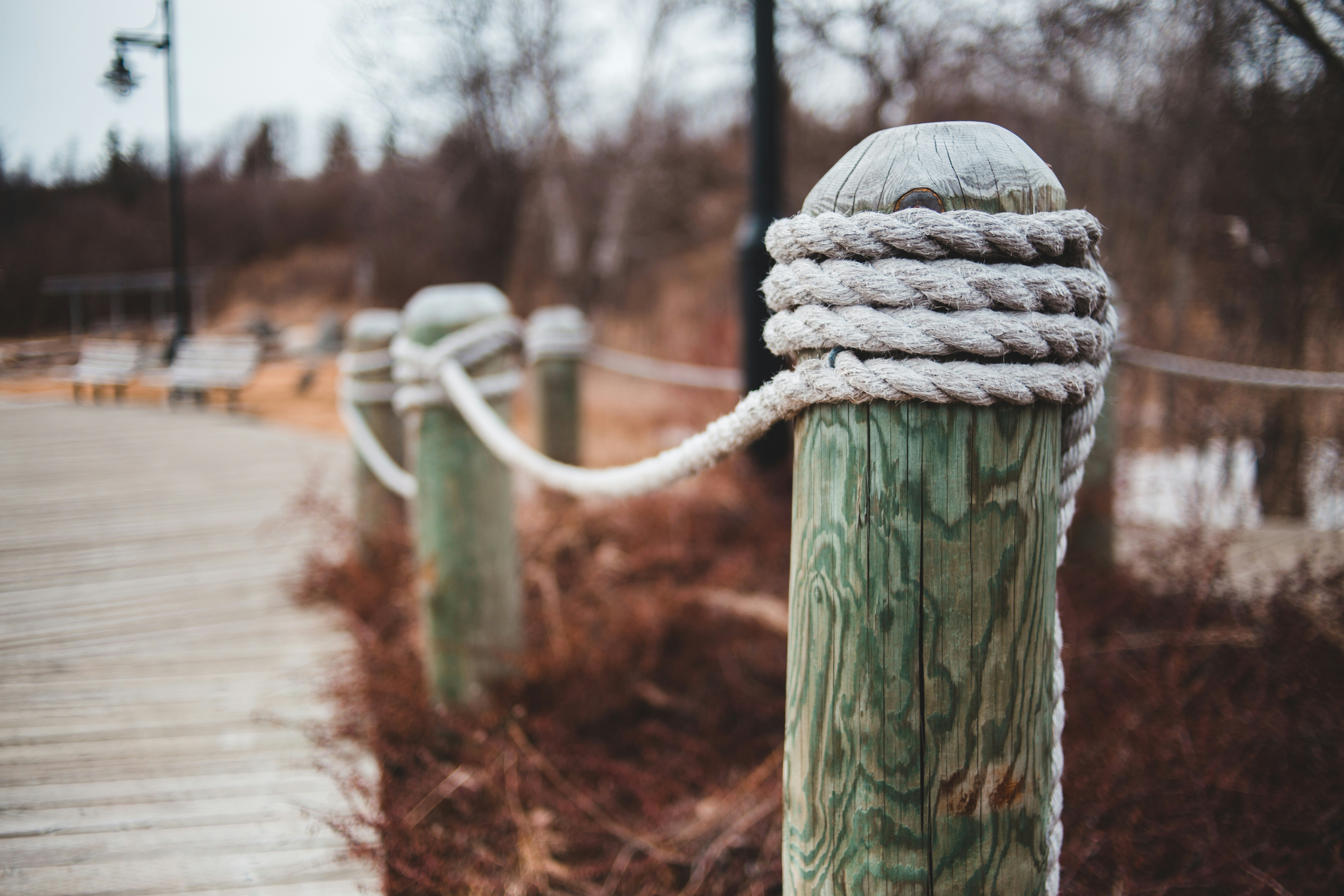 Ropes in wooden bollard photo – Free Brown Image on Unsplash