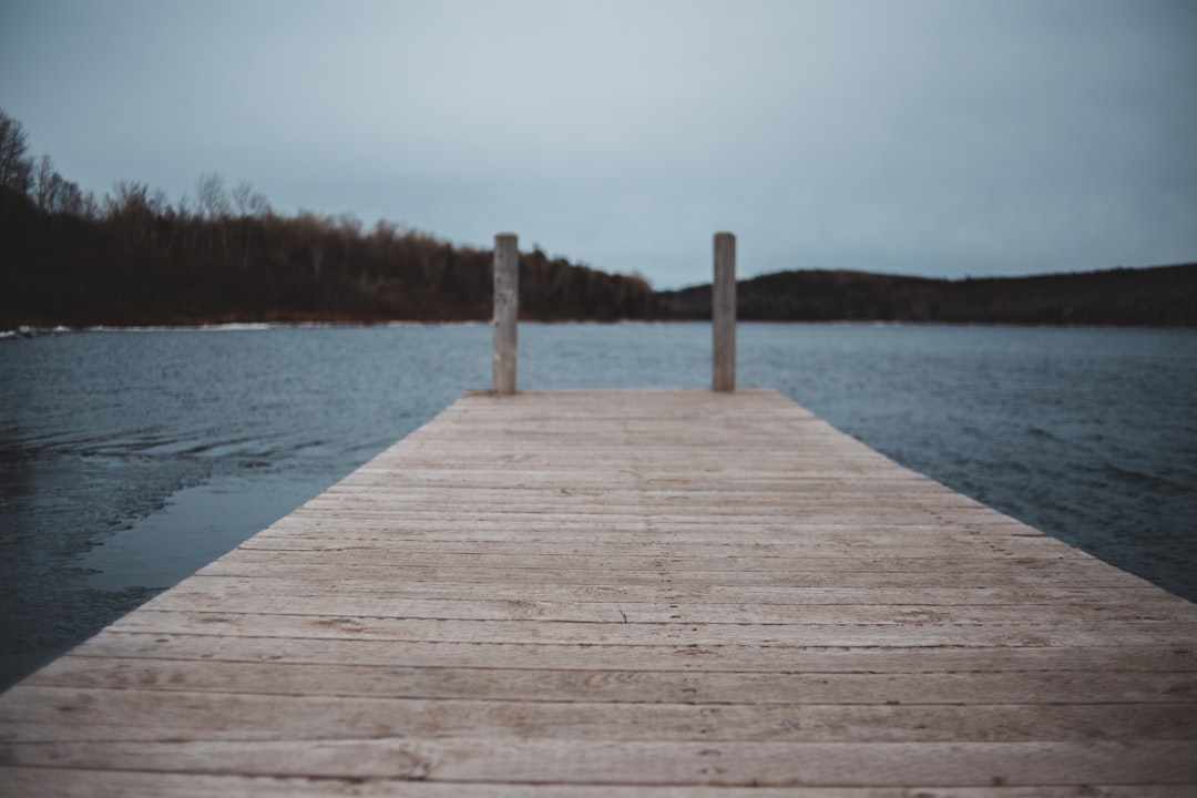 brown wooden dock