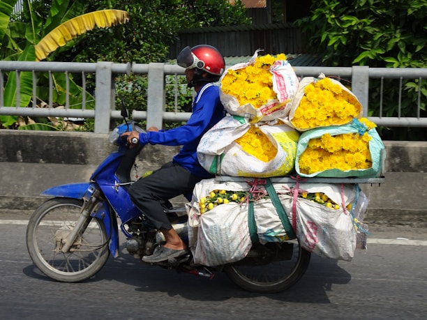 A person wearing a red helmet rides a blue motorcycle. The motorcycle is heavily loaded with large bags of bright yellow flowers. The backdrop includes green foliage and a gray barrier, suggesting movement on a road or highway.