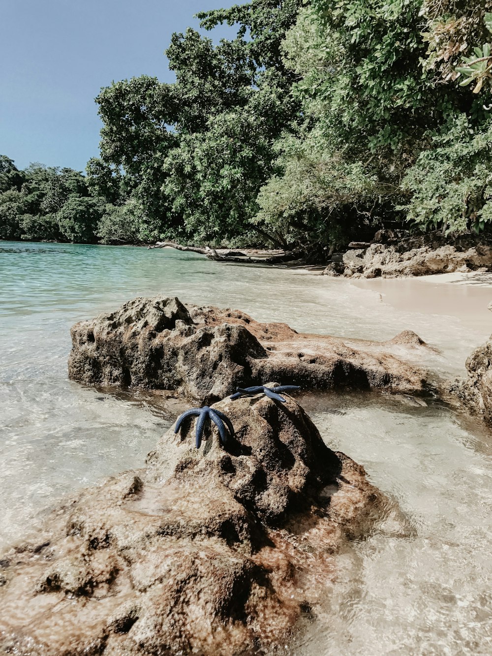 a pair of blue sandals sitting on top of a rock