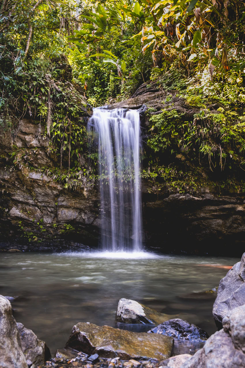 Cascada en el bosque de El Yunque