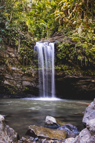 El Yunque National Forest, rainforest tours, what to do in the national forest, Puerto Rico, rainforest of puerto rico, visiting the rainforest of pureto rico, rainforest tours, jungle tours, waterfall tours