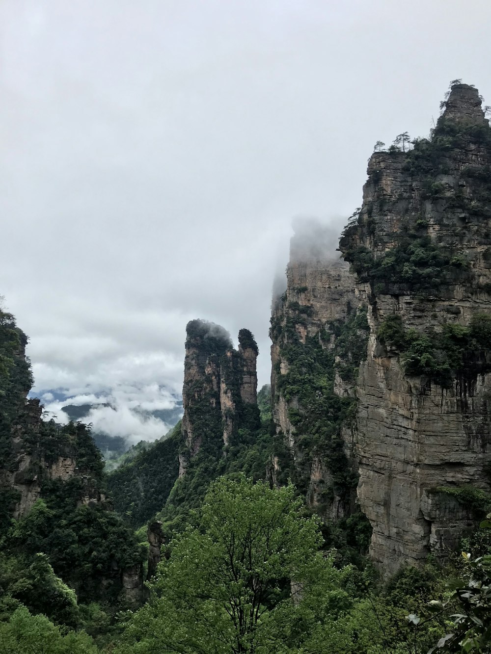 green covered rock mountains