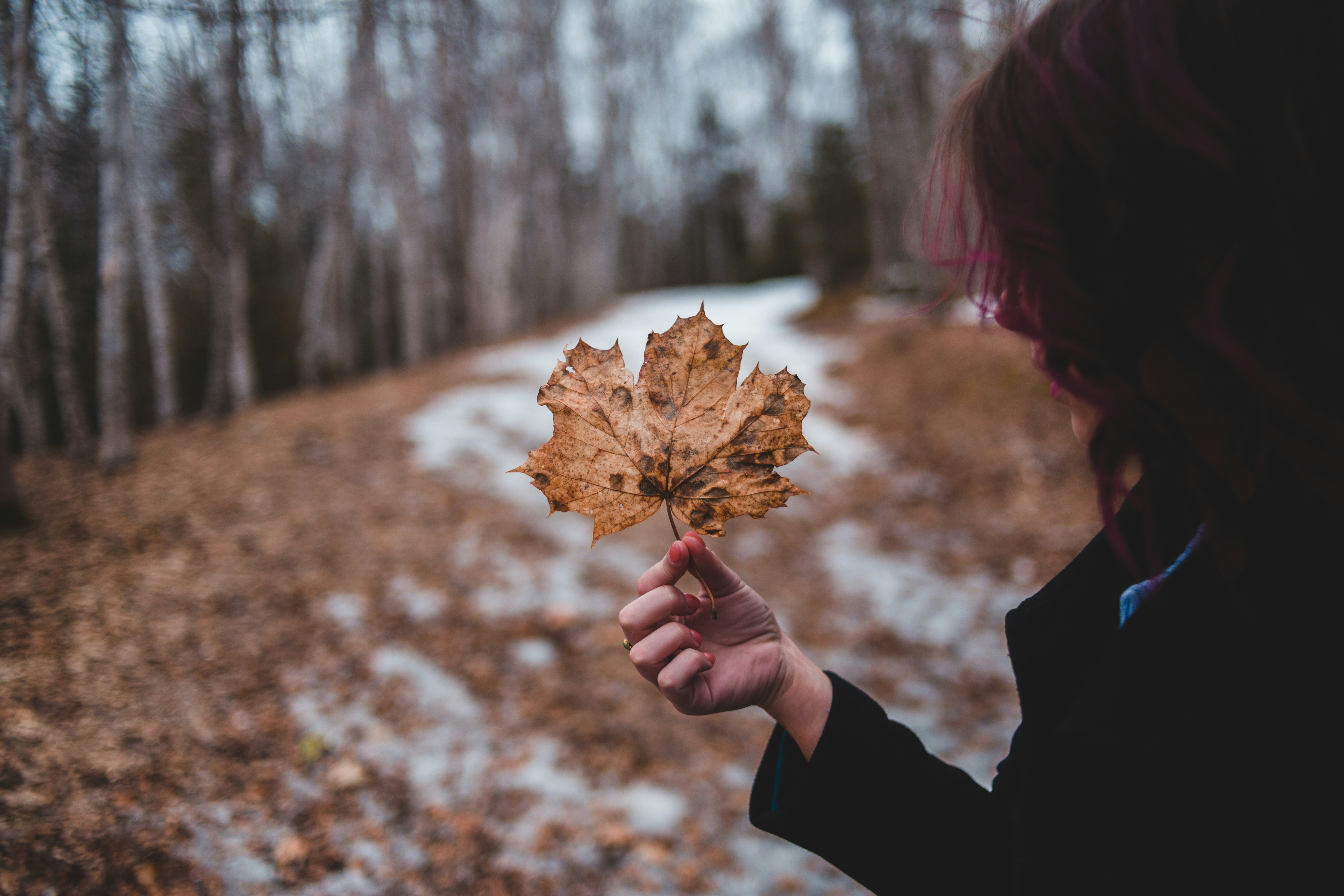 Photo by introspectivedsgn