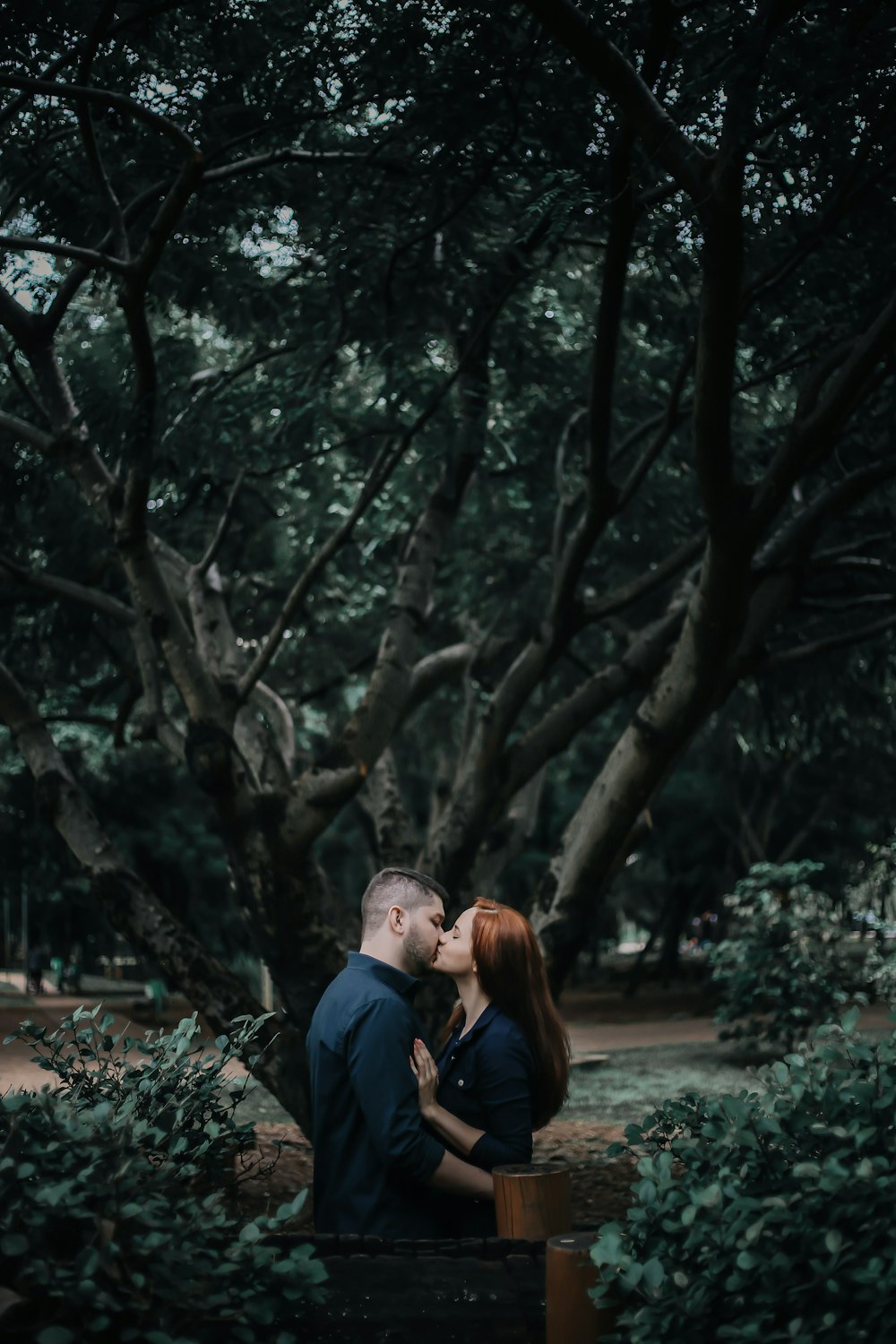 pareja besándose bajo los árboles